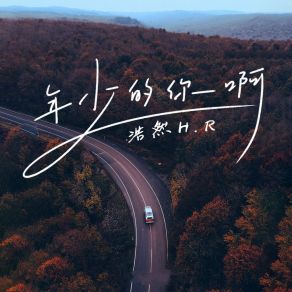 Download track 年少的你啊 (Dj沈念版伴奏) 浩然H. R沈念