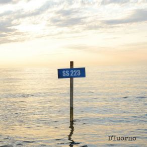 Download track SS223 D'Iuorno