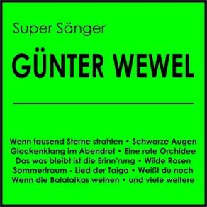 Download track Und Ewig Rauschen Die Wälder Günter Wewel