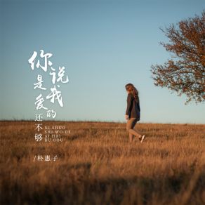 Download track 你说是我爱的还不够 (DJBanan版) 朴惠子Banan