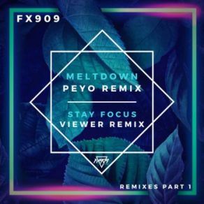 Download track Meltdown (Peyo Remix) FX909