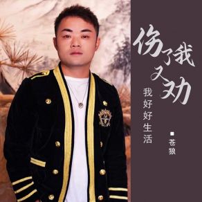 Download track 伤了我又劝我好好生活 (Dj默涵版伴奏) 苍狼默涵