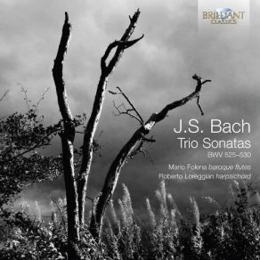 Download track 14. Trio Sonata No. 5 In D Major BWV 529 - II. Largo Johann Sebastian Bach