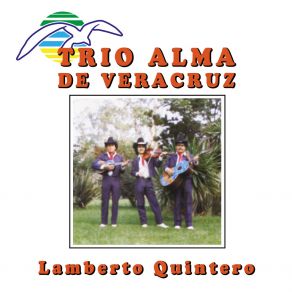 Download track La Camioneta Gris (Remasterizado 2023) Trío Alma De Veracruz