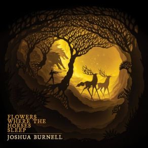 Download track Invisible Wings Joshua Burnell