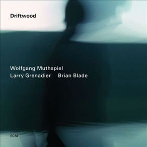 Download track Joseph Brian Blade, Wolfgang Muthspiel, Larry Grenadier