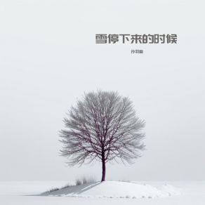 Download track 雪停下来的时候 孙羽幽