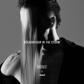 Download track Ruckenfigur In The Storm Dardust