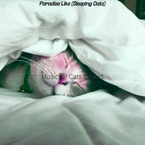 Download track Playful (Cute Kittens) Music For Cats Project