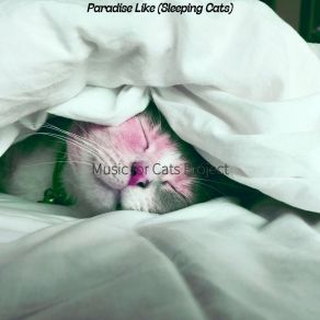 Download track Relaxing Cats - Feelings Music For Cats Project