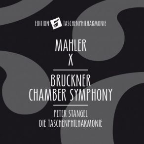 Download track Kammersinfonie II. Scherzo. Schnell (Arr. For Chamber Orchestra After String Quintet In F Major, WAB 112) Peter Stangel, Taschenphilharmonie