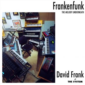 Download track Frunkadelic Beat Balladd David Frank