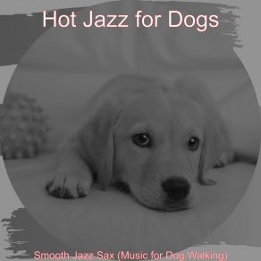 Download track Sparkling Ambience For Dog Walking Hot Jazz For Dogs