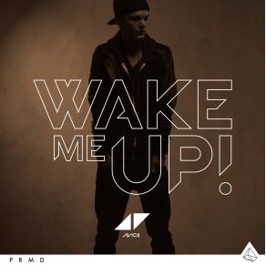 Download track Wake Me Up (Extended Mix) Aloe Blacc, Avicii