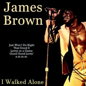 Download track Try Me James Brown