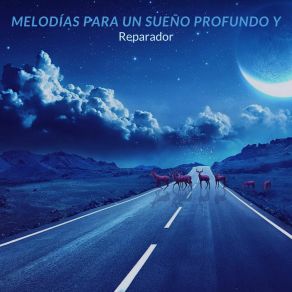 Download track Serenidad En La Oscuridad Awilda Melodías Del Descanso