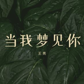 Download track 你送给我的巧克力 Liang Wang