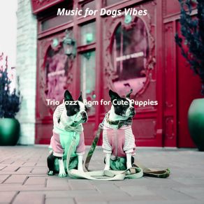 Download track Carefree Moods For Lonely Dogs Music For Dogs Vibes