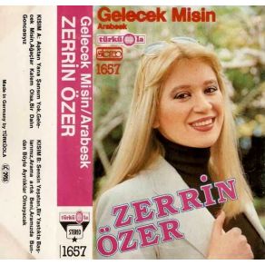 Download track Yalvarırım Zerrin Özer