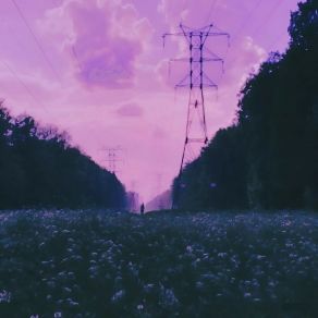 Download track In The Field (Slowed) Super Danya