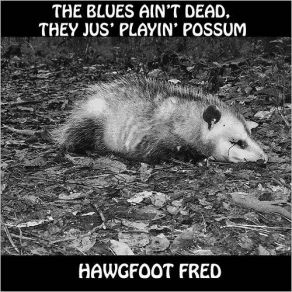 Download track So Long Baby Hawgfoot Fred