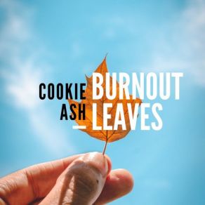 Download track No Chance In The Obvious Cookie Ash