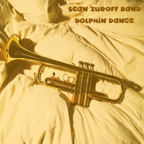 Download track Ev'rything I Love Sean Zuroff Band