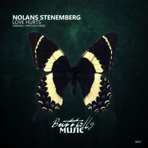 Download track Love Hurts (Syntouch Remix) Nolans Stenemberg