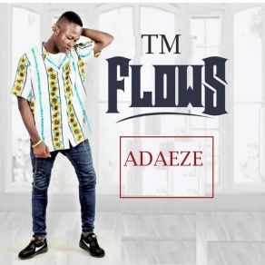 Download track My Baby TM Flows