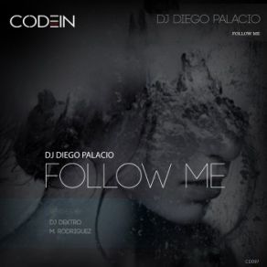 Download track Follow Me (Original Mix) DJ Diego Palacio