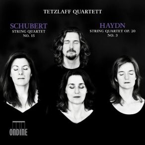 Download track 2. Schubert: String Quartet In G Major D887 - II. Andante Un Poco Moto Tetzlaff Quartett