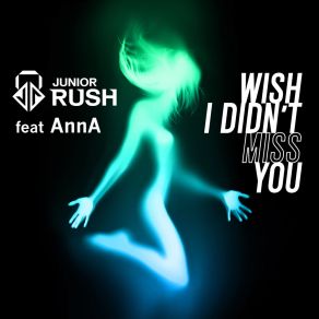 Download track Wish I Didn't Miss You (Radio Edit) Anna