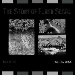 Download track Timeless Veins, Pt. 01 Flaca Segal