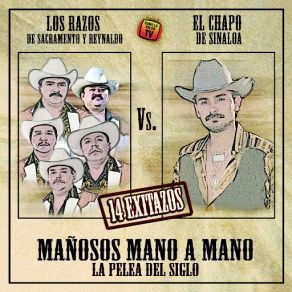 Download track El Nariz De Gramo Los RazosEl Chapo De Sinaloa