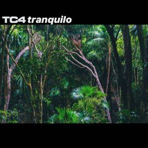 Download track Tranquilo Tc4