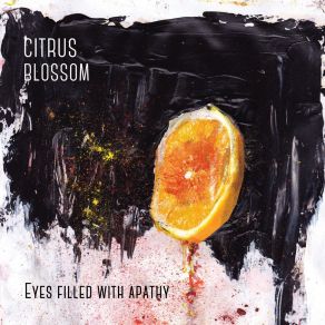 Download track Stranger Citrus Blossom