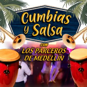 Download track Salsa De Oro Los Parceros De Medellín