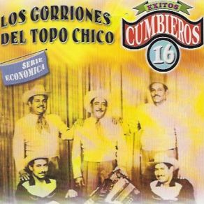 Download track Mi Norteñita Los Gorriones Del Topo Chico