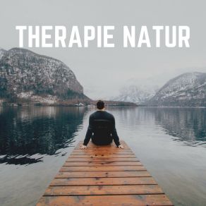 Download track Einfach Schönheit Der Natur Naturgeräusche Meditationsmusik