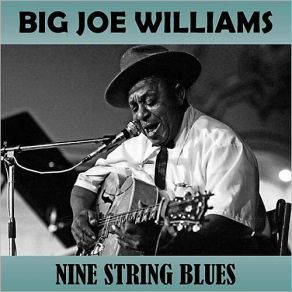 Download track Yo Yo Blues Big Joe Williams