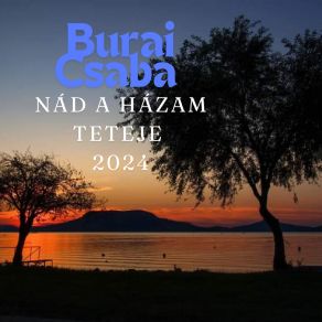 Download track Nád A Házam Teteje Burai Csaba