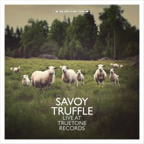 Download track Cutting Hair At Night (Live) The Savoy Truffle