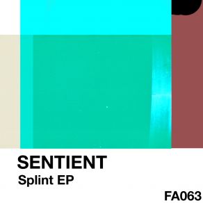 Download track Splint The Sentient