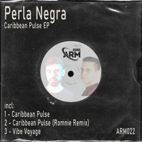 Download track Vibe Voyage (Original Mix) Perla Negra