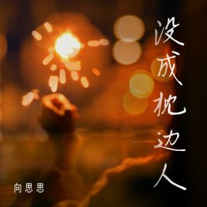 Download track 没成枕边人 向思思