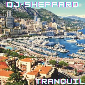 Download track Torrential DJ-Sheppard