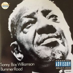 Download track Unseen Eye Sonny Boy Williamson