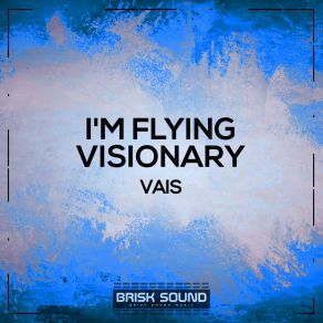 Download track Visionary (Original Mix) Vais