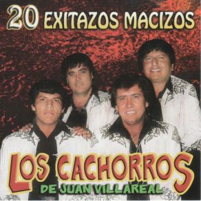 Download track No Llores Morenita Los Cachorros De Juan Villarreal