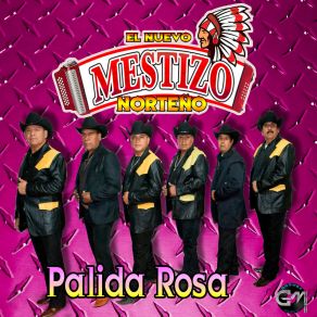 Download track Palida Rosa Mestizo Norteno